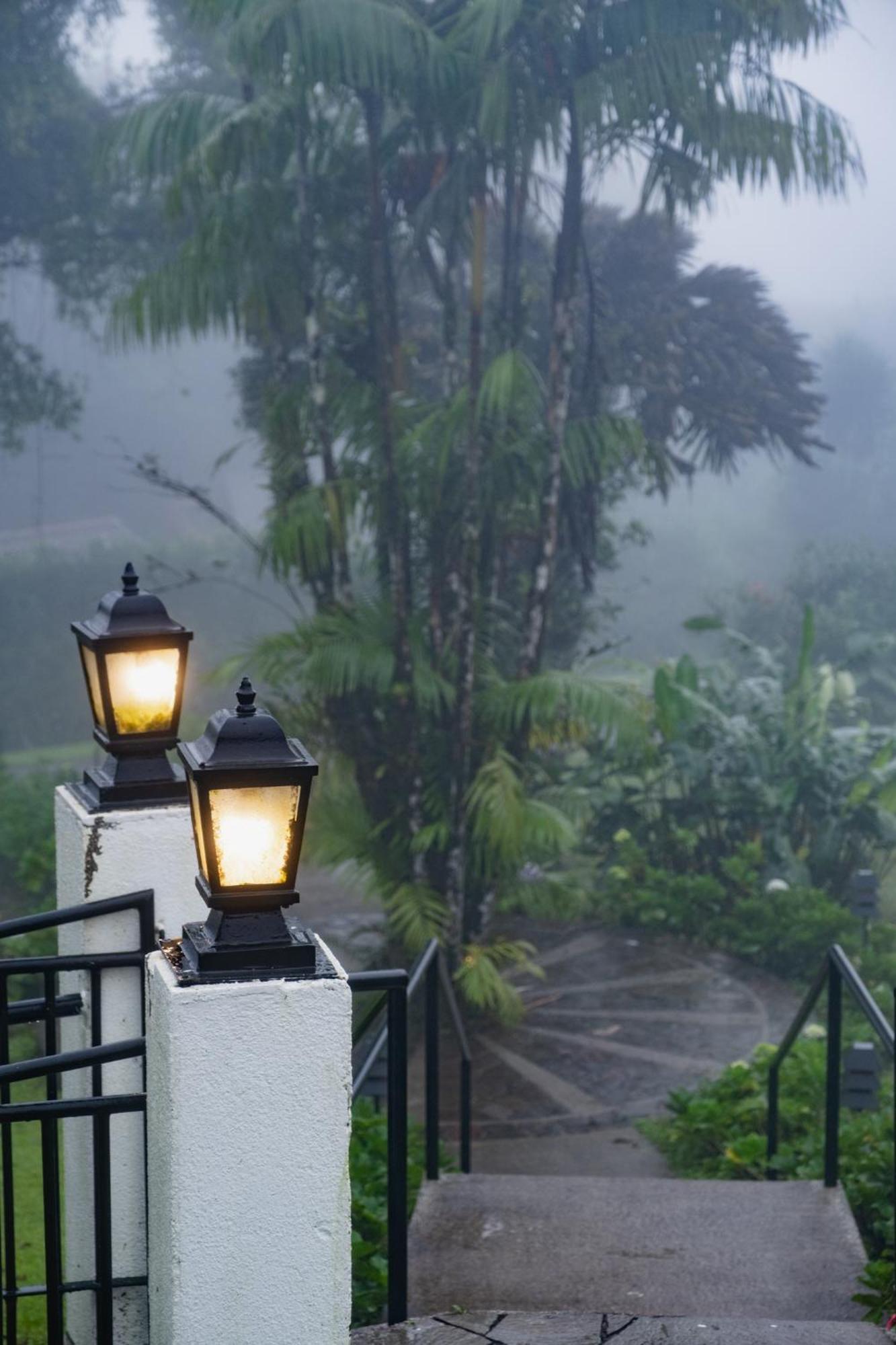 Villa Blanca Cloud Forest Hotel & Retreat San Ramón Extérieur photo